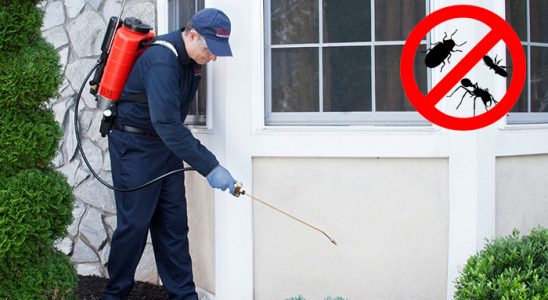 Akıncılar Tahtakurusu İlaçlama böcek ilaçlama ve haşere kontrolü — ilaclama-tr.com